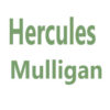 Hercules Mulligan store hours