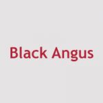 Black Angus Menu