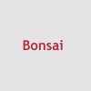 Bonsai  store hours