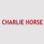 Charlie Horse Menu