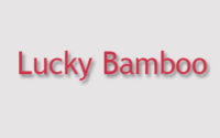 Lucky Bamboo Menu
