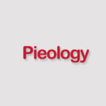 pieology menu